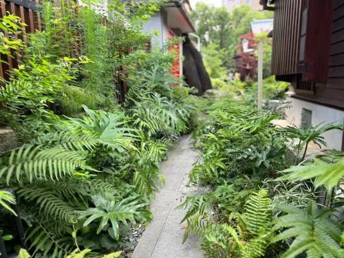 【設計師去哪兒】開箱0km山物所:上百植栽與台灣原生種,設計多元山林景觀
