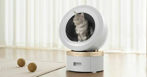 毛孩家庭必看！恆隆行全新代理AI智慧品牌MOVA，讓AI幫你養寵物、做家事！