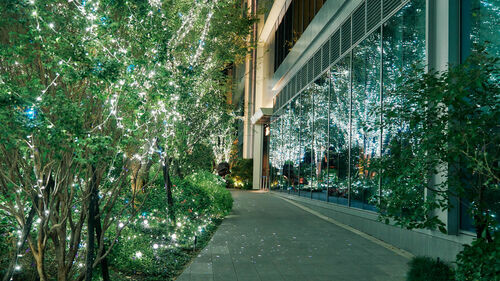 勤美草悟聖誕村11/21正式開村！ 70萬人潮造訪經典「光之道Sparkling Lane」，7 米高白雪紛飛「The Sculpted Tree聖誕樹」 陌生人交換禮物的驚喜體驗、異國感濃厚的聖誕市集 打造最具代表台中聖誕慶典