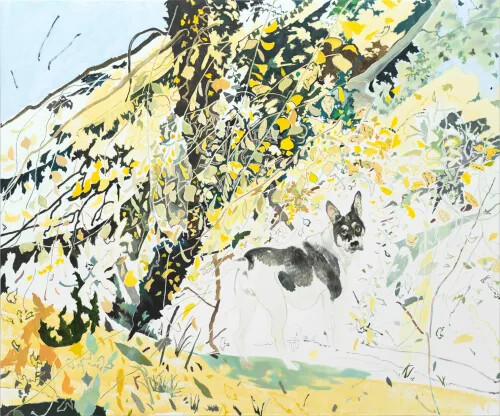 2024台北當代藝術博覽會 : 匯聚78間海內外藝廊參展，聚焦台灣多元豐富藝術樣貌