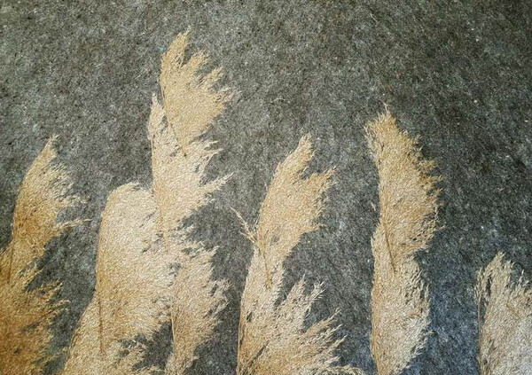 羊毛系列 羊毛 + 蘆葦花