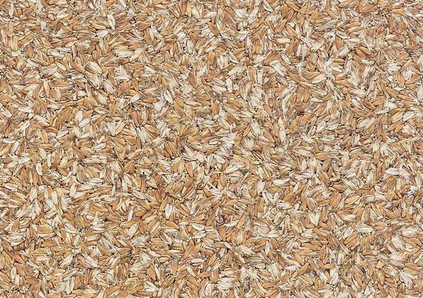 麥子系列 麥子殼